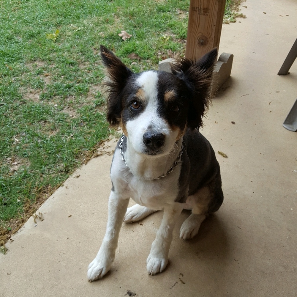 Meet your Posher, Judy